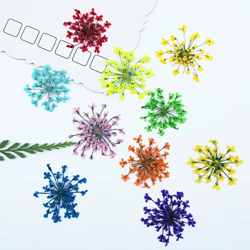 Small colorful flower sprays arranged individually in the supplied seller photo