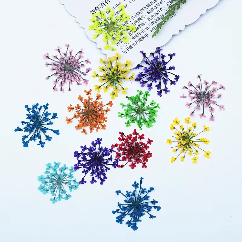 Colorful miniature flower-like sprays in the supplied seller photo
