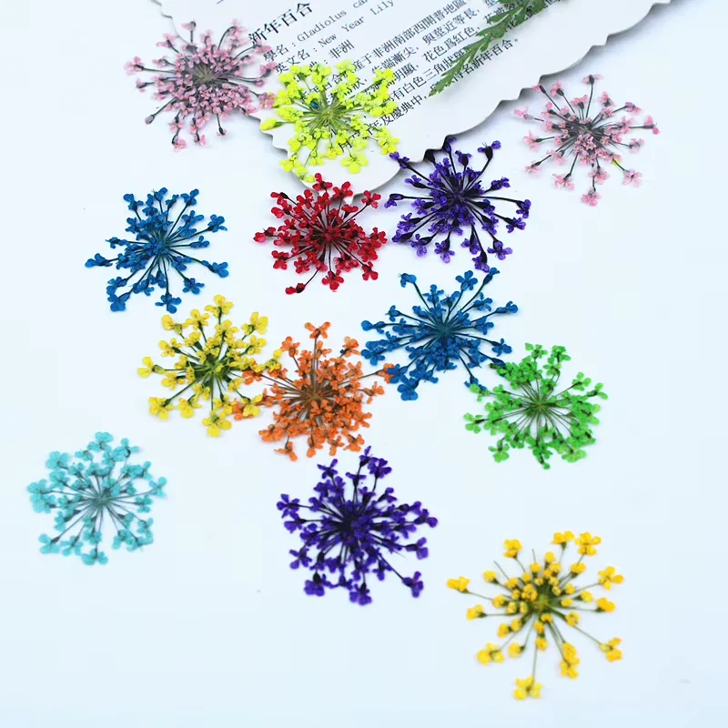 Multicolor miniature flower sprays in blue, pink, orange, green, red and purple